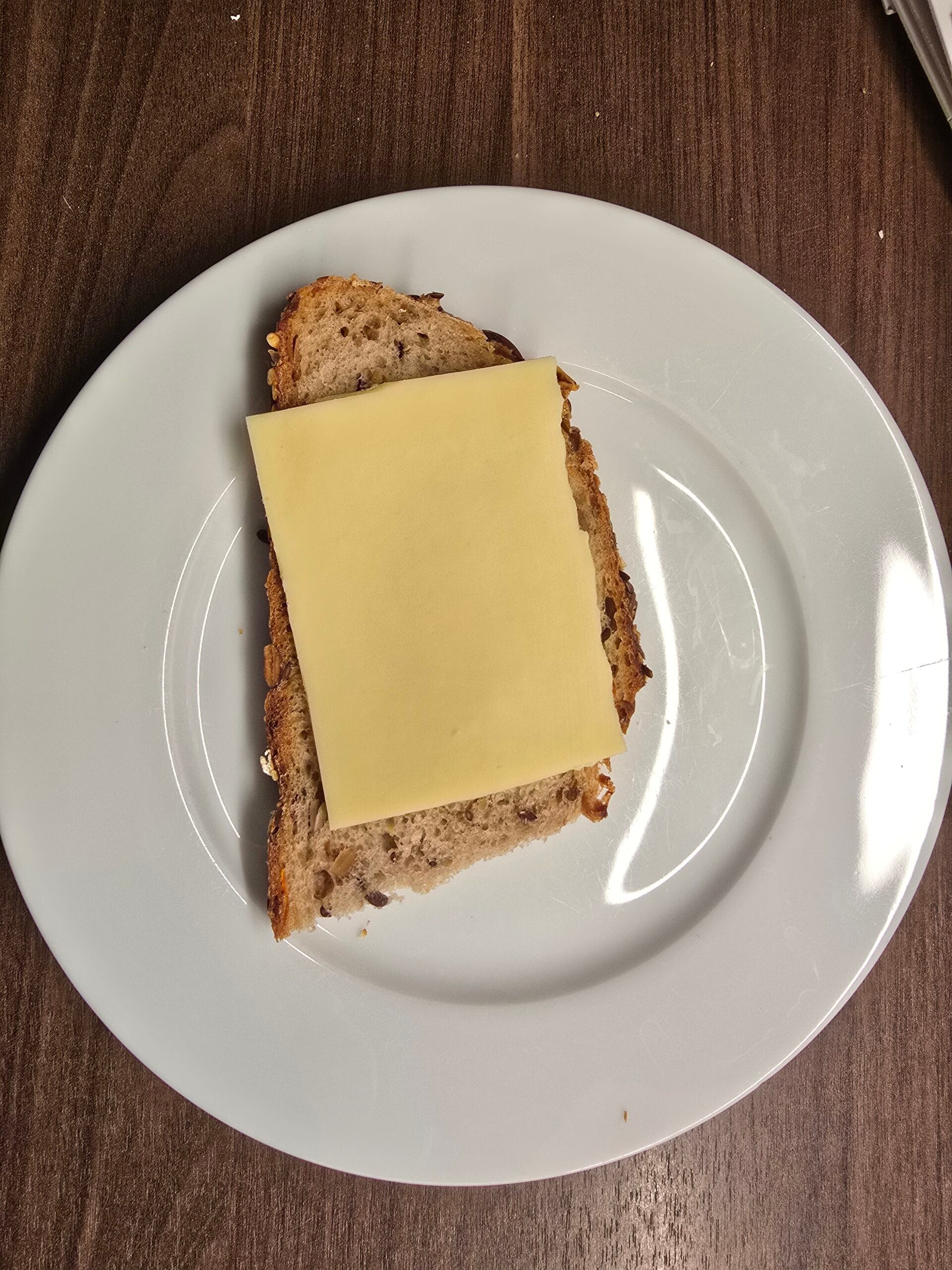 Urin Teststreifen - Einmalspritze - abgeschnittenes Käsebrot